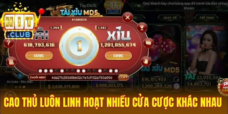 Cao thủ luôn linh hoạt nhiều cửa cược khác nhau